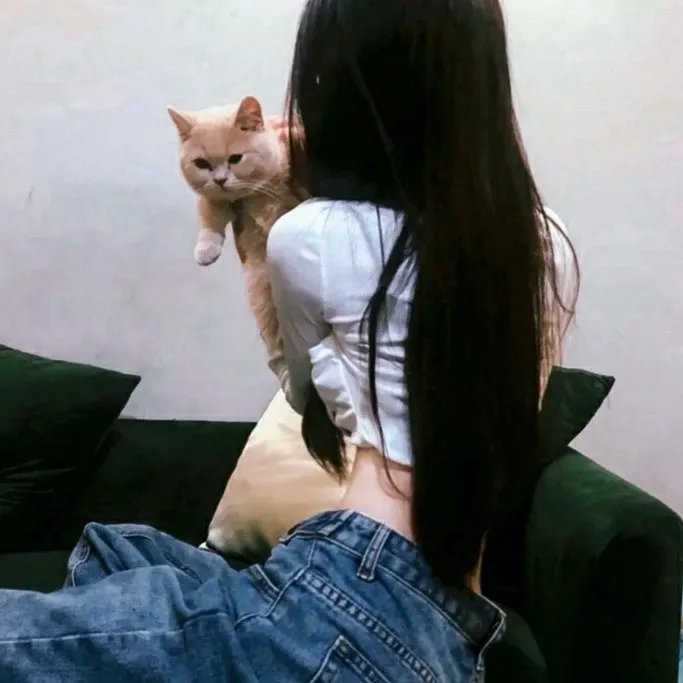 彩虹庇护所